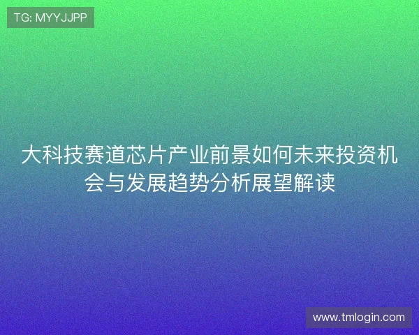 大科技赛道芯片产业前景如何未来投资机会与发展趋势分析展望解读